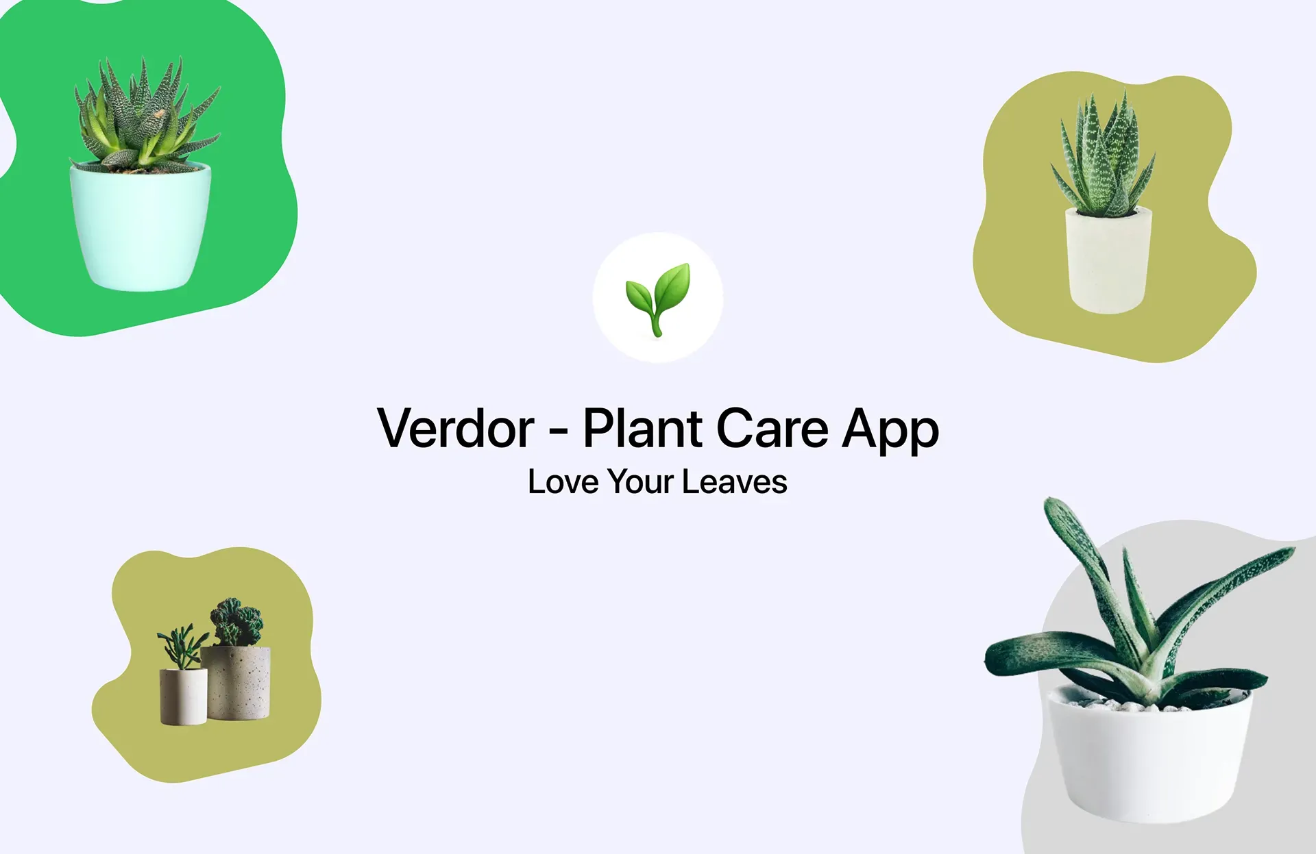 Natural Branding & UI Identity